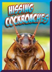 Hissing Cockroaches