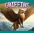 Griffins