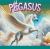 Pegasus