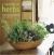 A Handful of Herbs : Inspiring Ideas for Gardening, Cooking and Decorating Your Home with Herbs