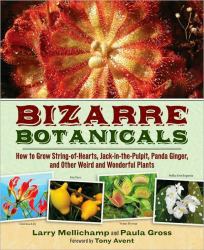 Bizarre Botanicals : How to Grow String-Of-Hearts, Jack-in-the-Pulpit, Panda Ginger, and Other Weird and Wonderful Plants