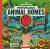 Marvelous Animal Homes : A Magic Lens Book