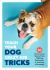 Teach Your Dog Crazy Tricks : 50 Howl-Arious Stunts from Walking Backwards to Fetching a Beverage
