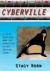 Cyberville : Clicks, Culture, and the Creation of an Online Town