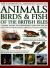 The Complete Illustrated Guide to Animals, Birds and Fish of the British Isles : A Natural History and Identification Guide with over 440 Native Species from England, Ireland, Scotland and Wales