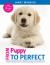 From Puppy to Perfect : A Proven, Practical Guide to Training and Caring for Your New Puppy From Puppy to Perfect : A Proven, Practical Guide to Training and Caring for Your New Puppy