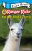 I Wish I Was a Llama