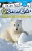 I Wish I Was a Polar Bear
