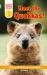 Meet the Quokkas!
