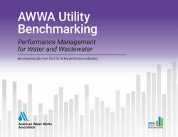 AWWA Utility Benchmarking 2024: Performance Management for Water and Wastewater
