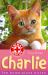 Charlie the home-alone kitten Charlie the home-alone kitten