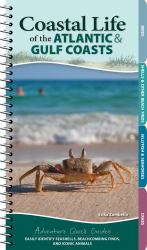 Coastal Life of the Atlantic and Gulf Coasts : Easily Identify Seashells, Beachcombing Finds, and Iconic Animals