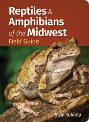 Reptiles and Amphibians of the Midwest Field Guide