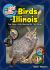 Kid's Guide to Birds of Illinois : Fun Facts, Activities, and 87 Cool Birds