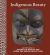 Indigenous Beauty : Masterworks of American Indian Art from the Diker Collection