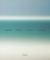 Liquid Horizon : Meditations on the Surf and Sea