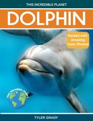 Dolphin : Fascinating Animal Facts for Kids