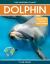 Dolphin : Fascinating Animal Facts for Kids