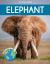 Elephant : Fascinating Animal Facts for Kids