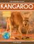 Kangaroo : Fascinating Animal Facts for Kids