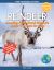 Reindeer : Amazing Facts about Nature's Arctic Travelers for Kids