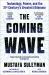 The Coming Wave : Technology, Power, and the Twenty-First Century's Greatest Dilemma