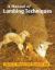 Manual of Lambing Techniques Manual of Lambing Techniques