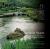 Infinite Spaces : The Art and Wisdom of the Japanese Garden