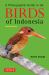 A Photographic Guide to the Birds of Indonesia : Second Edition