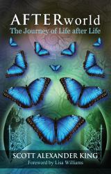 Afterworld : The Journey of Life after Life