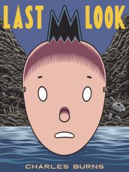 Last Look (epub)