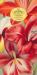 John Derian Paper Goods: in the Garden 80-Page Notepad