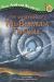 The Mysteries of the Bermuda Triangle