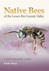 Native Bees of the Lower Rio Grande Valley : A Photographic Guide