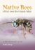 Native Bees of the Lower Rio Grande Valley : A Photographic Guide