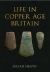 Life in Copper Age Britain