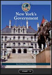 New York's Government