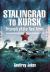 Stalingrad to Kursk : Triumph of the Red Army