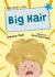 Big Hair : (Blue Early Reader)