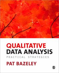 Qualitative Data Analysis : Practical Strategies