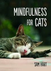 Mindfulness for Cats