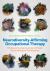 Neurodiversity-Affirming Occupational Therapy : Empowering Approaches to Foster Neurodivergent Participation Neurodiversity-Affirming Occupational Therapy : Empowering Approaches to Foster Neurodivergent Participation