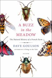Buzz in the Meadow