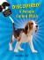 DISCOVERED! a Beagle Called Bella