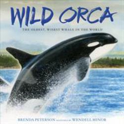 Wild Orca : The Oldest, Wisest Whale in the World