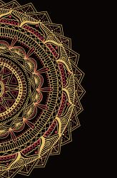 Awaken the Magic : A Children of Blood and Bone Journal