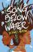 A Song below Water : A Novel A Song below Water : A Novel