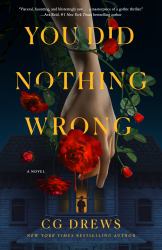 You Did Nothing Wrong : A Novel
