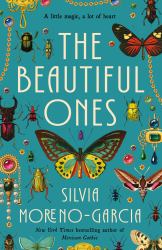 The Beautiful Ones : A Novel