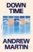 Down Time : A Novel